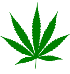 Cannabis_leaf.svg_