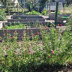 Flowers and vegetables are grown in the community garden in Liberty Park in Neptune. The park is expected to be expanded this year.
