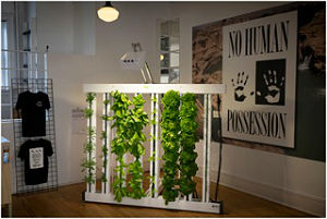Kula Urban Farm’s hydroponic grow towers are on display at the new visual art show “Grocery” in Asbury Park.