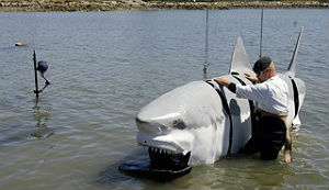 This robotic shark will be in Asbury Park Aug. 5.
